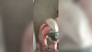 emilywalters_2020 05 17_329672495_Okay_I_think_I_teased_you_guys_enough шоу чат реальный порно