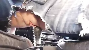 Озабоченная шлюха BigLips трахает пизду в машине