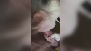 Cierra jade hotel room surprise – blow jobs, strangers | ManyVids порно livesex