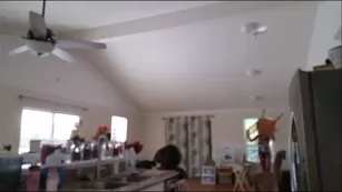 Hollyhotwife Teasing The Cable Guy | ManyVids Бесплатное Порно Videos