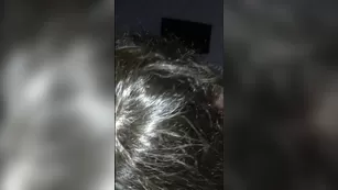 Minikitty suck and fuck before bedtime POV | ManyVids, Blow Jobs, Ебля, Skinny Women, Small Tits, POV