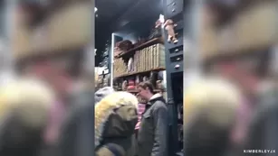 Kimberley БЕСПЛАТНОЕ Snapchat Takeover | ManyVids Бесплатное Порно Videos