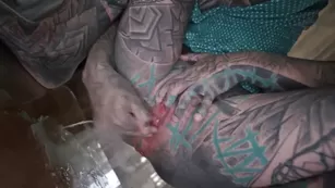 Anuskatzz XXL сквирит tattoo teen anal мастурбация – bdsm, tattoos | ManyVids порно videos