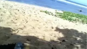 Ginger Banks hawaiian beach мастурбация video 2016_09_11 | ManyVids Бесплатное Порно Videos