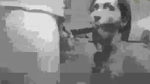 Enfinity cummings sloppy BJ reverse cowgirl creampie – минет | ManyVids порно livesex