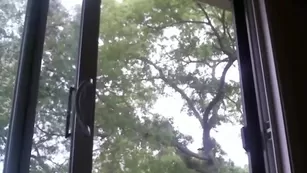 Ava Arachnie Tattooed babe fucks herself bath | ManyVids Бесплатное Порно Videos