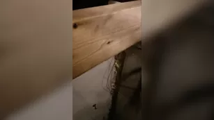 Misscodyblack codys roommate gets sucked and ебанный мальчик девушка минет doggystyle порно video manyvids