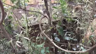 Nikki benz мастурбация on bed snapchat xxx порно videos