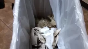 Laynaboo anal plug pink дилдо мастурбация snapchat бесплатное