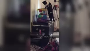 Katie MFC KimberNoelle lesbian bathroom video