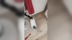 Sarah Calanthe дразнит all day snapchat premium порно videos