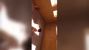 Violet Summers fully nude workout snapchat бесплатное