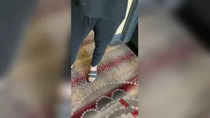 Viking Barbie watch мой секс xxx snapchat premium реальный порно реальный секс 1