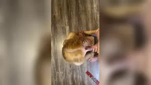 Maddison Morgan POV секс xxx snapchat premium 2020/05/27 реальный порно реальный секс