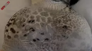 Crystal Lust huge ass railed doggystyle реальный порно реальный секс 1