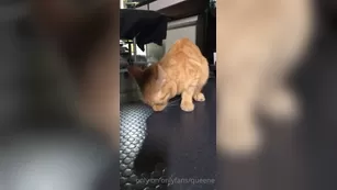 queene 5 cat snack шоу чат реальный порно реальный секс