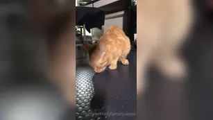 queene 5 cat snack шоу чат реальный порно реальный секс