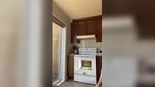 stephaniebeaudoin шоу чат реальный порно