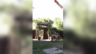 Romi Rain outdoor реальный порно реальный секс