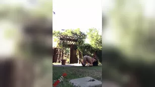 Romi Rain outdoor реальный порно реальный секс