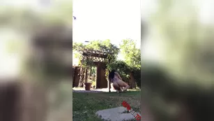 Romi Rain outdoor реальный порно реальный секс