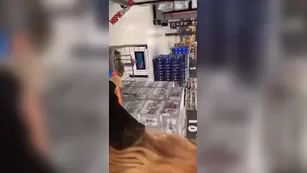 Maddison Morgan Charlie Classic controls мой tip vibrator at Walmart snapchat premium 2020/12/16 реальный порно реальный секс 1