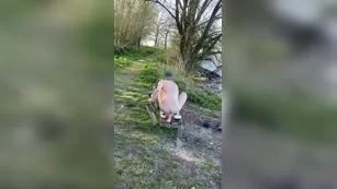 subboynl playing outside шоу чат реальный порно реальный секс 1