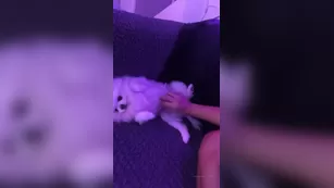 chantelzales gonna start twerking скоро teaching myself now шоу чат реальный порно