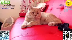 sweet_ary Chaturbate голая cam реальный секс