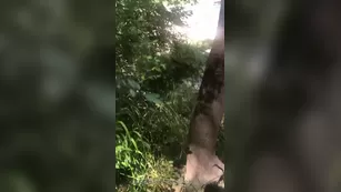 clemmarceau pipe_et_baise_la_rivi_re_ps_on_s_est_fait_chopper шоу чат реальный порно реальный секс