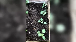 xobrittmariexo And last plant реальный порно post для the contest going on шоу чат реальный порно