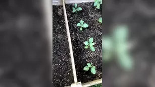 xobrittmariexo And last plant реальный порно post для the contest going on шоу чат реальный порно