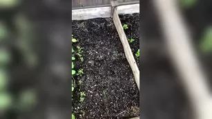 xobrittmariexo And last plant реальный порно post для the contest going on шоу чат реальный порно