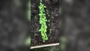 xobrittmariexo And last plant реальный порно post для the contest going on шоу чат реальный порно