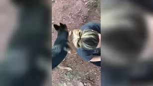 blondepolishthick Мой favorite view while hiking шоу чат реальный порно