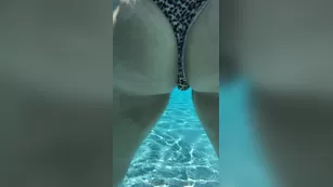 dream 2019 6506753 шоу чат реальный порно