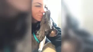 Carlie Jo Howell 17 minutes all реальный порно реальный секс 1