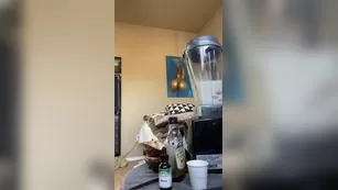 lexiefux And this is the finale result of making cacao milk шоу чат реальный порно