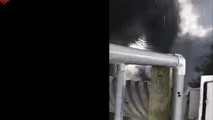 Kelsi Monroe секс xxx while standing on the bridge чат реальный порно реальный секс