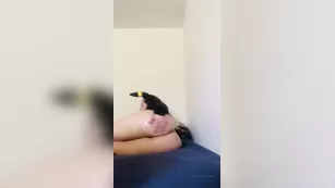 shadyshainy oiled up umbreon киска шоу чат реальный порно