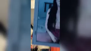 sashavanity Teaching вас boys a less шоу чат реальный порно