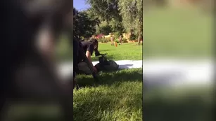 Chanel Preston Easter with мой sexy lady friends чат реальный порно реальный секс