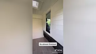 fenellafox made a van reveal tiktok today шоу чат реальный порно реальный секс