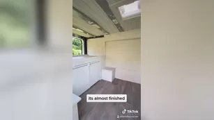 fenellafox made a van reveal tiktok today шоу чат реальный порно реальный секс