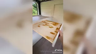 fenellafox made a van reveal tiktok today шоу чат реальный порно реальный секс