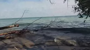 robincoffins public pov beachjob blowy шоу чат реальный порно реальный секс