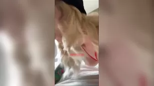 Princess Pineapple red bodysuit минет snapchat premium реальный порно реальный секс