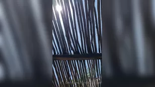 ItaliaStarr 839626460 Video шоу чат реальный порно