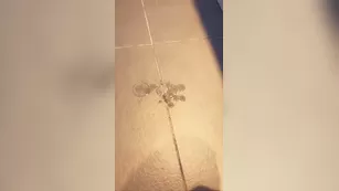 bunnyblondy 03/08/2018 реальный порно реальный секс 1