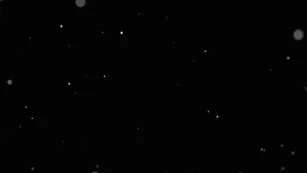 francety реальный nipple love чат video просочившийся